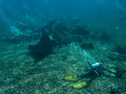 Indonesien - Flores,Lombok,Bali